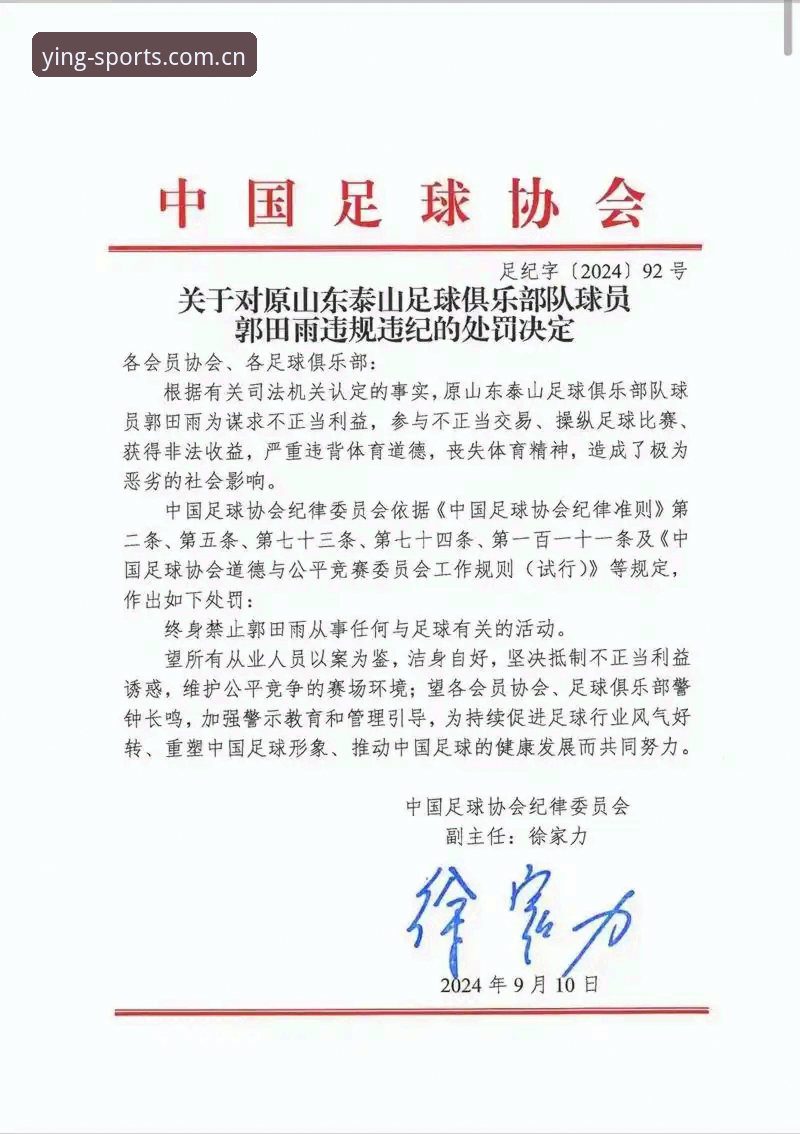 亚盈体育功能介绍2026最新版本 中国足协第三批禁足名单详解:17人终身禁足、48人遭重罚